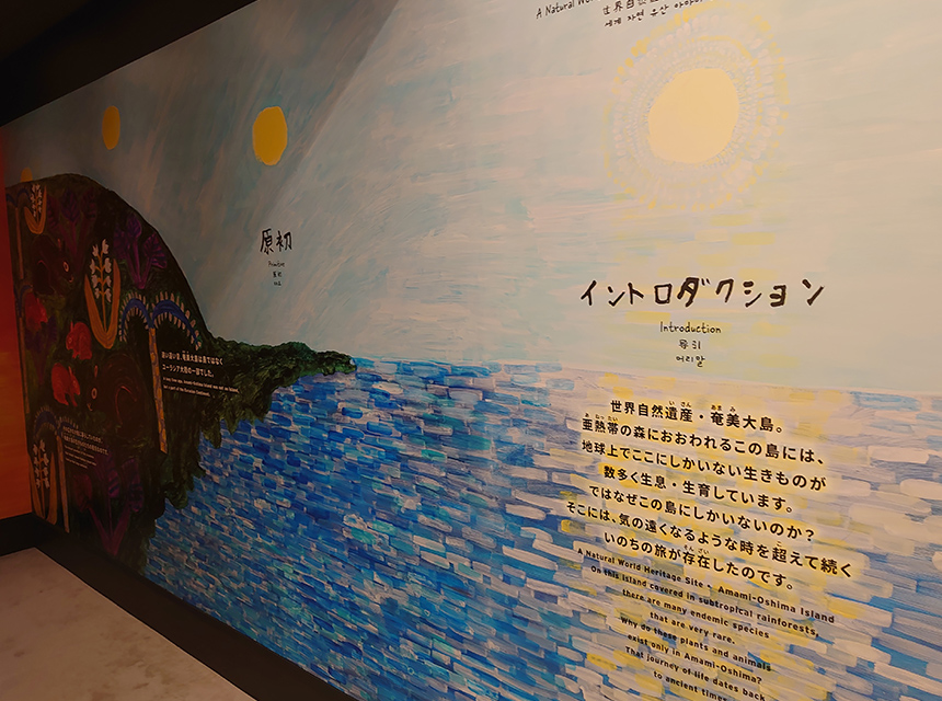 奄美大島世界遺産センター