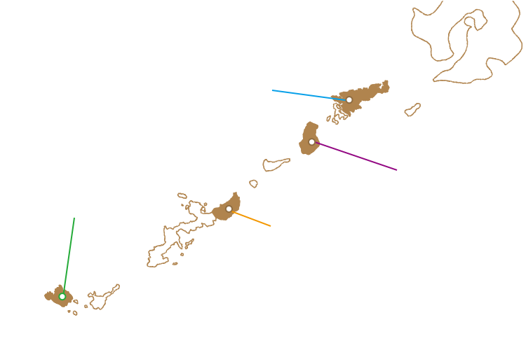 時を紡ぐ 彩りの島 奄美 沖縄