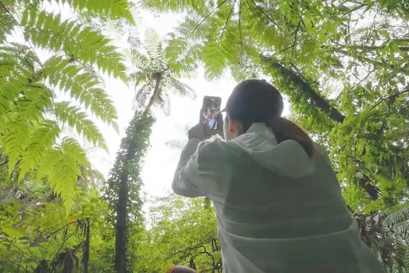 金作原（きんさくばる）