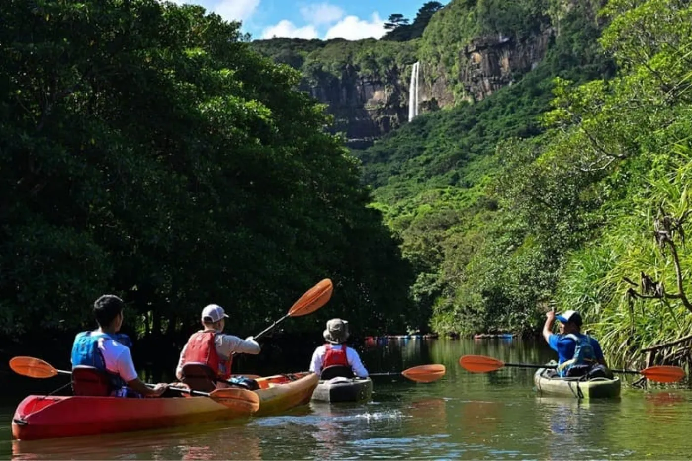 マングローブカヌー
