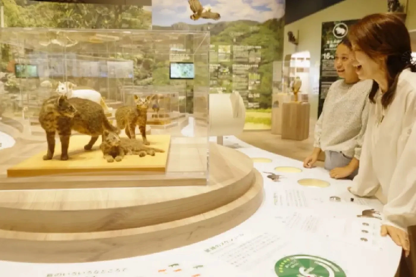 西表野生生物保護センター