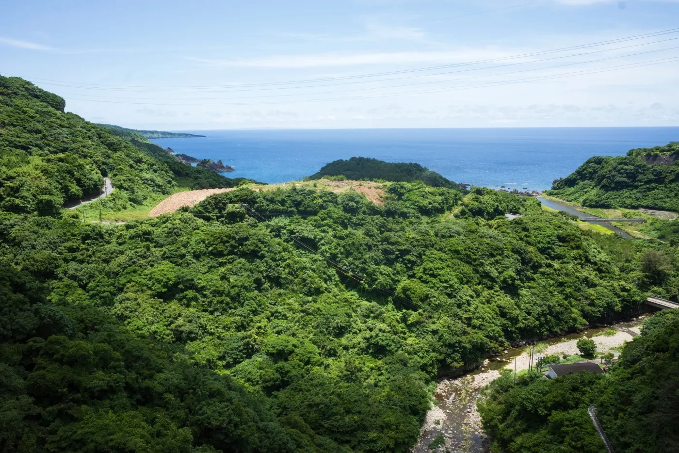 徳之島の亜熱帯照葉樹林