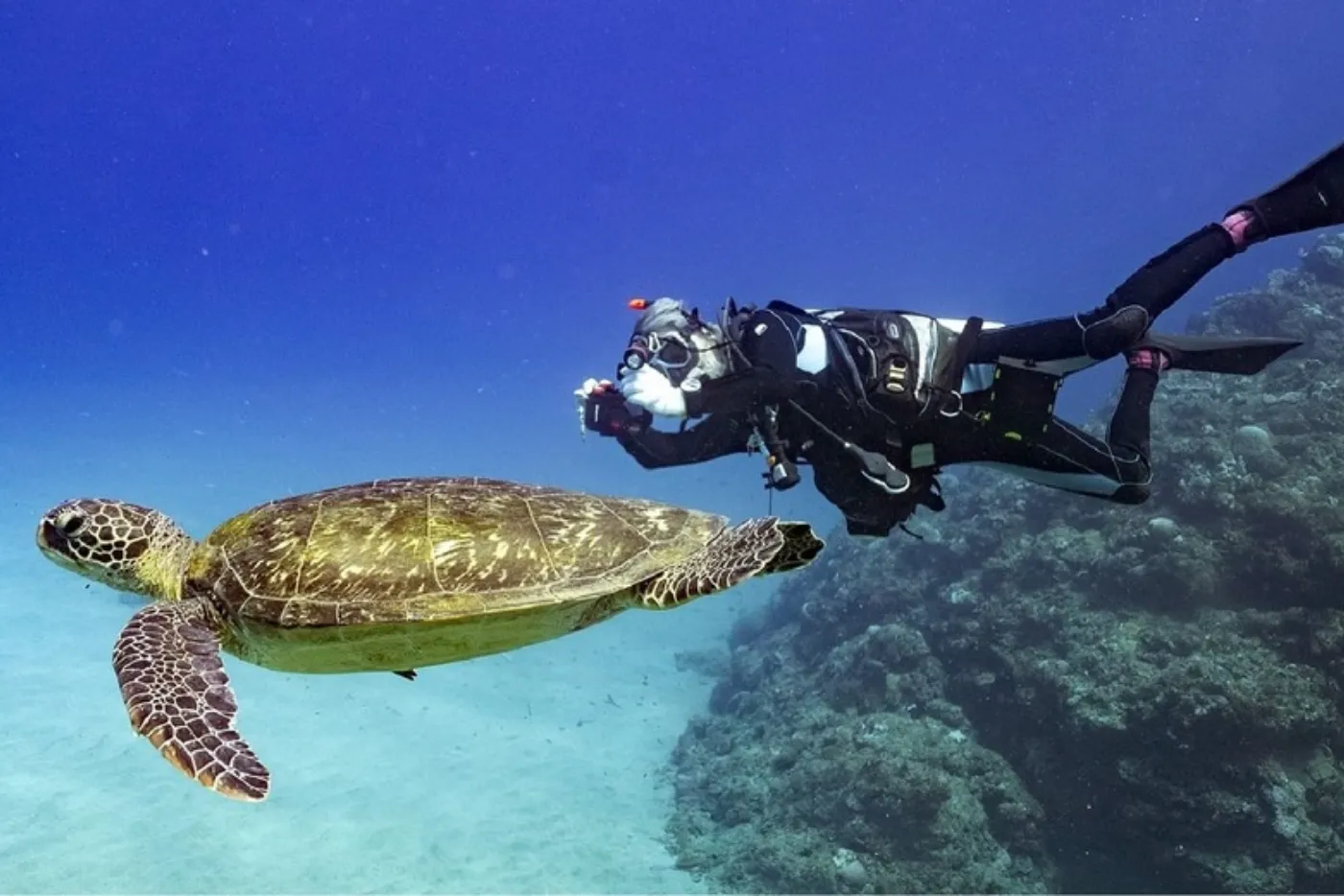 徳之島のスキューバダイビング