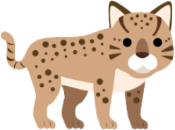 イリオモテヤマネコ