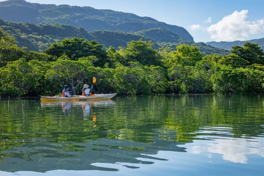 西表島の豊かな自然環境をいつまでも楽しむために、観光の新しいカタチを模索しながら実践しています。