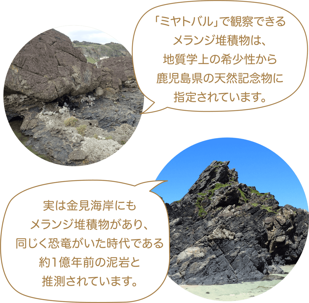 「ミヤトバル」で観察できるメランジ堆積物は、地質学上の希少性から鹿児島県の天然記念物に指定されています。