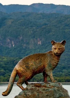 西表島マナーブック「西表島の自然を子どもたちへ守り継ぐために」