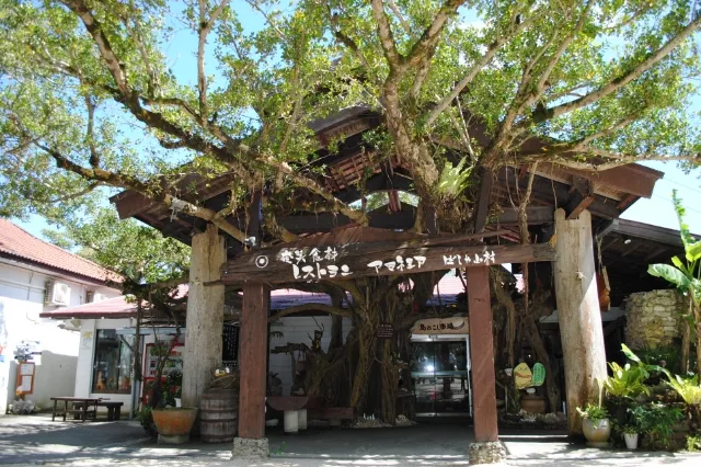 奄美リゾート鶏飯ばしゃ山村