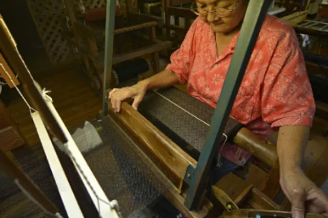 本場奄美大島紬泥染公園