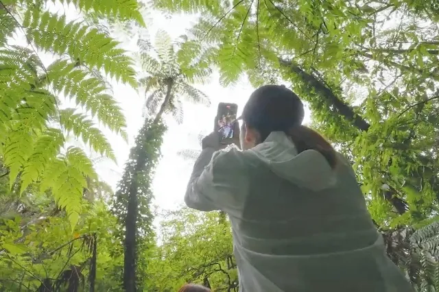 ⾦作原(きんさくばる