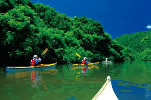 仲間川でカヤック