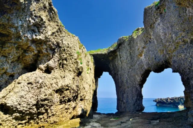 犬の門蓋（いんのじょうふた）