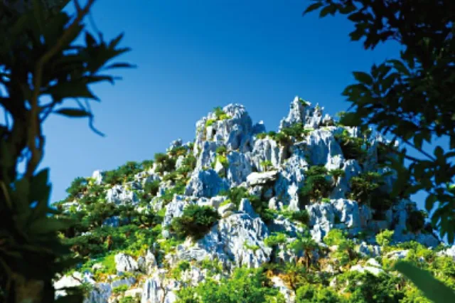 アスムイハイクス