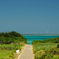 一本道から眺める繊細な海原のグラデーション/小浜島