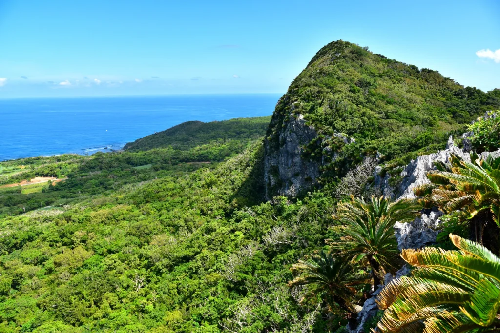 沖縄島北部 世界自然遺産
