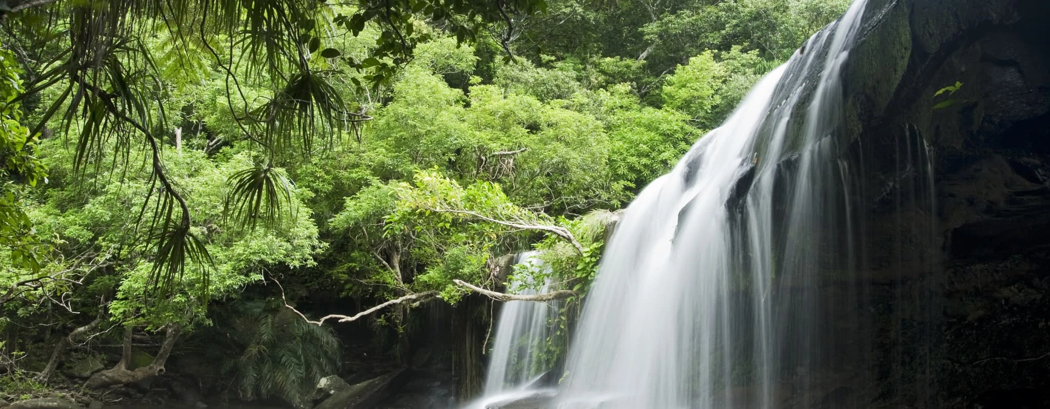 西表島_サンガラーの滝